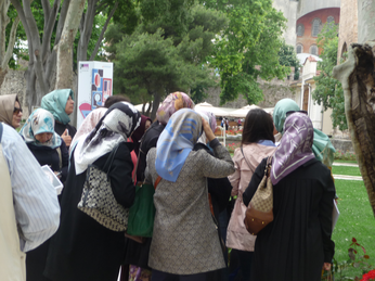 P1040349.JPG 3456x2592 index 105